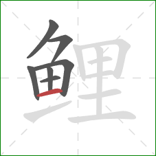 鲤的笔顺第7画:横 鲤的笔顺第7画:横