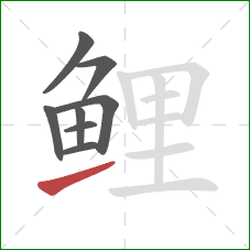 鲤的笔顺第8画:提 鲤的笔顺第8画:提