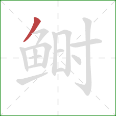 鲥的笔顺第1画:撇 鲥的笔顺第1画:撇