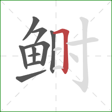 鲥的笔顺第10画:横折 鲥的笔顺第10画:横折