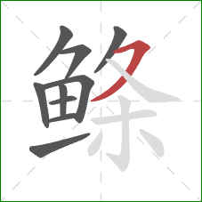 鲦的笔顺第10画：横撇