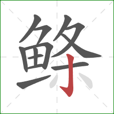 鲦的笔顺第13画：竖钩