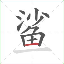 鲨的笔顺第14画：横