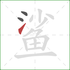 鲨的笔顺第3画：提