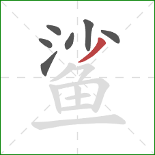 鲨的笔顺第7画：撇