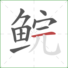 鲩的笔顺第13画:横 鲩的笔顺第13画:横