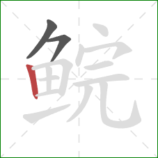 鲩的笔顺第3画:竖 鲩的笔顺第3画:竖