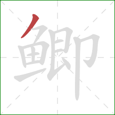 鲫的笔顺第1画：撇
