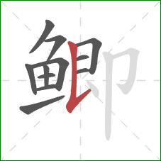 鲫的笔顺第12画：竖提