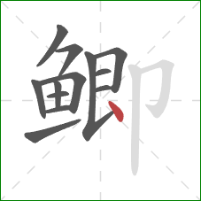 鲫的笔顺第13画：点