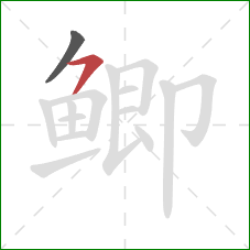 鲫的笔顺第2画：横撇