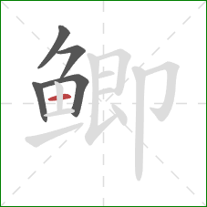 鲫的笔顺第5画：横