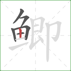 鲫的笔顺第6画：竖