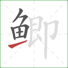 鲫的笔顺第8画：提