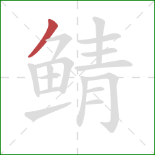 鲭的笔顺第1画：撇