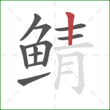 鲭的笔顺第11画：竖