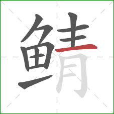 鲭的笔顺第12画：横