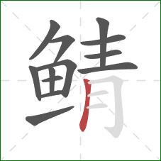 鲭的笔顺第13画：竖