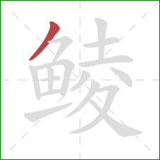 鲮的笔顺第1画：撇