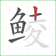 鲮的笔顺第10画：竖
