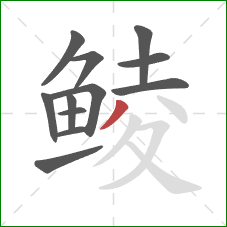 鲮的笔顺第12画：撇