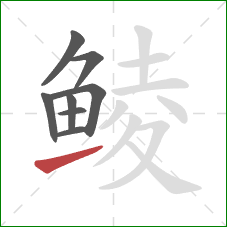 鲮的笔顺第8画：提