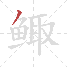 鲰的笔顺第1画：撇