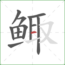 鲰的笔顺第13画：横