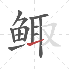 鲰的笔顺第14画：提