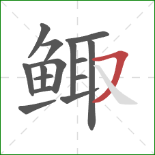 鲰的笔顺第15画：横撇