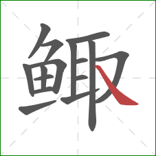 鲰的笔顺第16画：捺