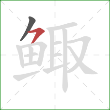 鲰的笔顺第2画：横撇