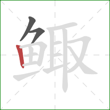 鲰的笔顺第3画：竖