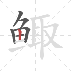 鲰的笔顺第6画：竖