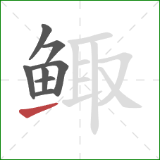 鲰的笔顺第8画：提