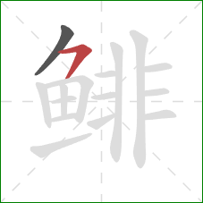 鲱的笔顺第2画:横撇 鲱的笔顺第2画:横撇