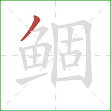 鲴的笔顺第1画：撇