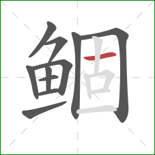 鲴的笔顺第11画：横