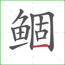 鲴的笔顺第16画：横