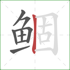 鲴的笔顺第9画：竖