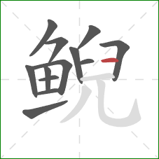 鲵的笔顺第13画:横 鲵的笔顺第13画:横