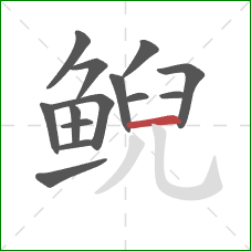 鲵的笔顺第14画:横 鲵的笔顺第14画:横