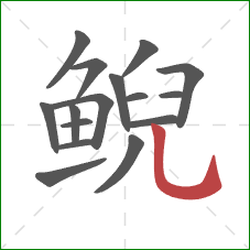 鲵的笔顺第16画:竖弯钩 鲵的笔顺第16画:竖弯钩