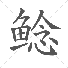 鲶的笔顺