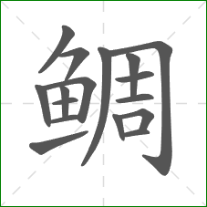 鲷的笔顺