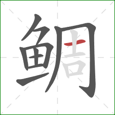 鲷的笔顺第11画：横