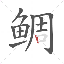 鲷的笔顺第14画：竖