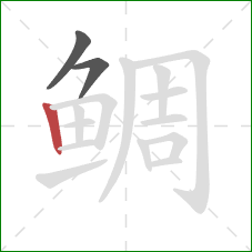 鲷的笔顺第3画：竖