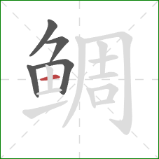 鲷的笔顺第5画：横