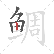 鲷的笔顺第6画：竖